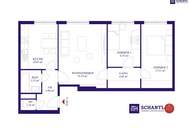 Renovieren statt resignieren! 3-Zimmer I Neubau I 3. Liftstock I ideale Infrastruktur I beste Anbindung!
