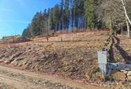 Leben mit Weitblick – Hanglage in idyllischer Umgebung