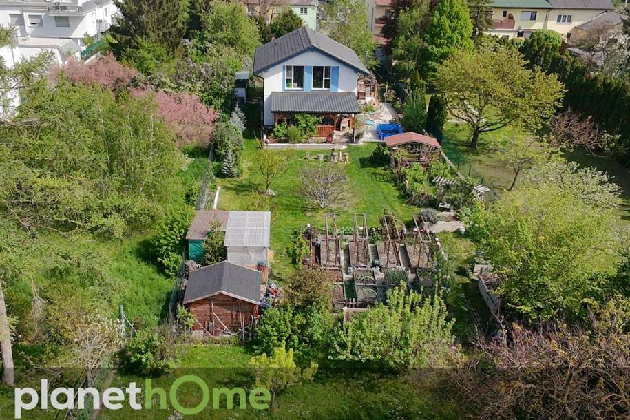 Gartenidyll trifft modernes Wohnhaus in Hirschstetten!, Haus-kauf, 1.249.000,€, 1220 Wien 22., Donaustadt