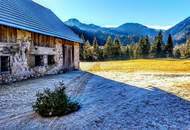 RÜCKZUGSORT WILDALPEN - WOHNEN IN ABSOLUTER GRÜNRUHELAGE