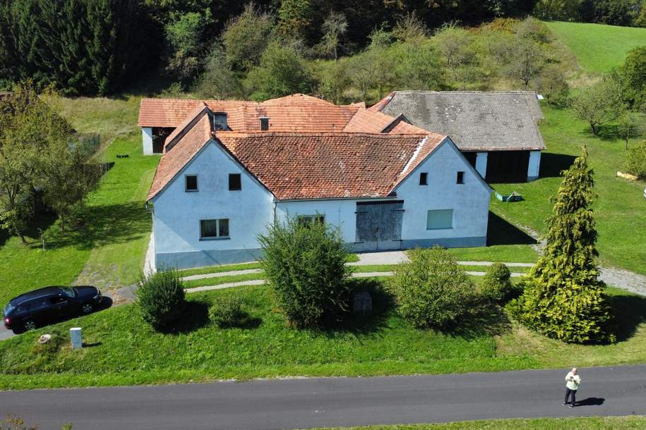 Bauernhaus - Es gibt ihn noch, den Charme vergangener Tage, Haus-kauf, 320.000,€, 8350 Südoststeiermark