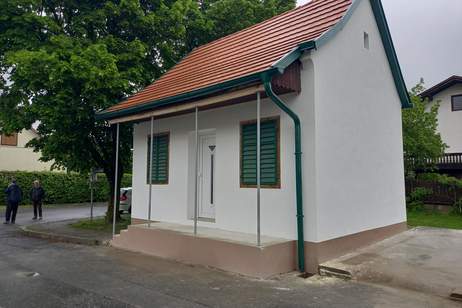 Sanierungsbedürftigtes Haus in Strem Südburgenland (Provisionsfrei), Haus-kauf, 29.900,€, 7522 Güssing