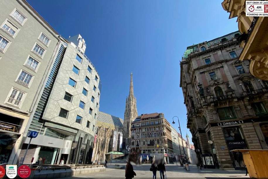 Traum-Wohnung im Herzen Wiens, lichtdurchflutete Altbau-Perle, inmitten der historischen Kulisse des Grabens, geringe Betriebskosten, Wohnung-kauf, 1.250.000,€, 1010 Wien 1., Innere Stadt