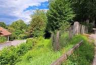 Einfamilienhaus mit Wohnrecht und 1875 m² Grund - idyllische Waldrandlage in Steyr/Fischhub