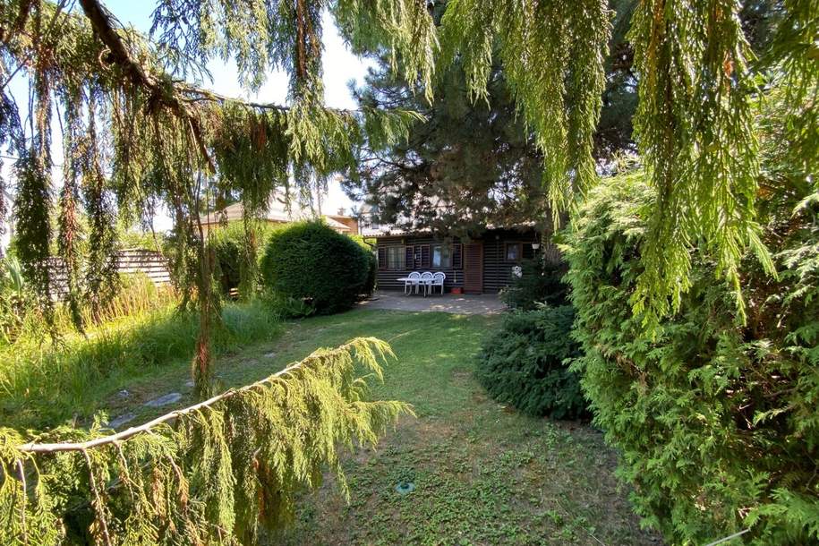Nähe Alte Donau - Kleingartenidylle mit Ferienhaus mit Potential (ganzjähriges Wohnen), Grund und Boden-kauf, 497.000,€, 1220 Wien 22., Donaustadt