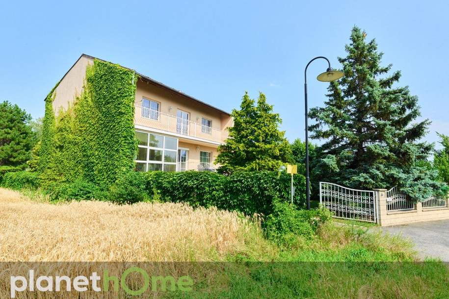 Perfekte Anbindung nach Wien/Pool!, Haus-kauf, 650.000,€, 2120 Mistelbach