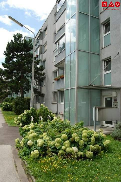 Wohnen mit Komfort in Linz-Bindermichl – Großzügige 2-Zimmer-Wohnung mit Parkplatz und Balkon! Die Wohnung befindet sich derzeit in SANIERUNG!