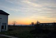 wunderschönes sonniges Baugrundstück mit Seeblick für Ihr Eigenheim am Neusiedlersee