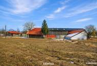 Platz für Zukunftspläne: Attraktives Grundstück in Weibern wartet auf Sie!