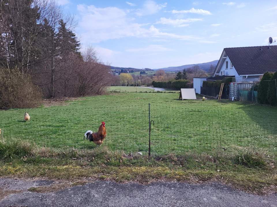 NEUER PREIS! SCHÖNES BAUGRUNDSTÜCK IM WIENERWALD