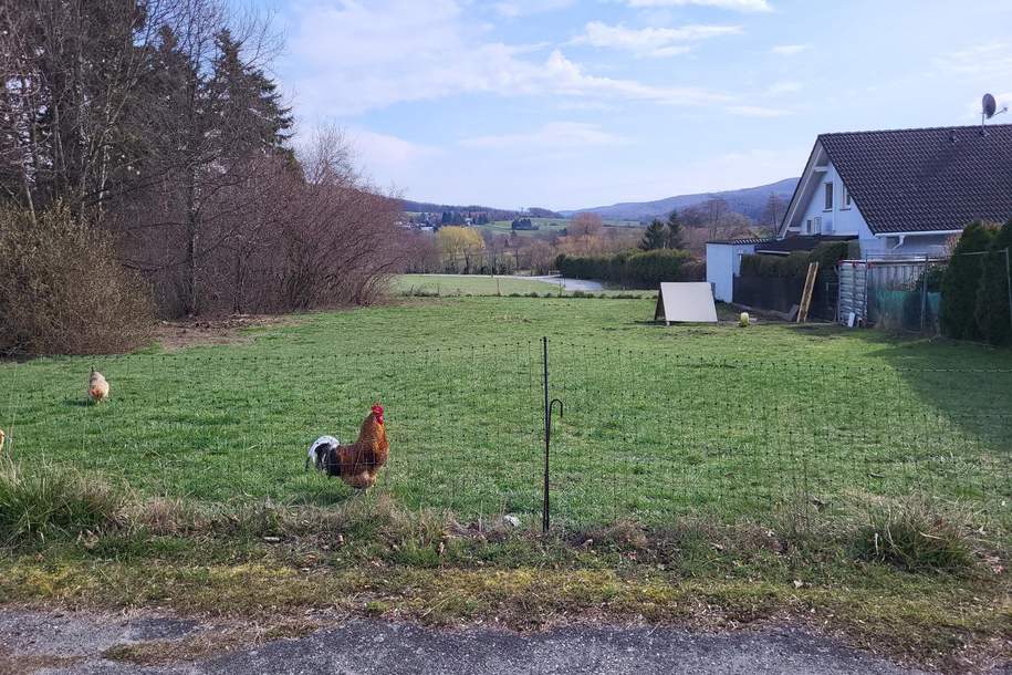 NEUER PREIS! SCHÖNES BAUGRUNDSTÜCK IM WIENERWALD, Grund und Boden-kauf, 199.000,€, 3443 Tulln