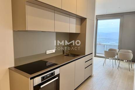 DANUBEFLATS: All In Miete - Direkt bei der U1 Donauinsel inkl. Wellness, Fitness und Pool, Wohnung-miete, 1.750,00,€, 1220 Wien 22., Donaustadt