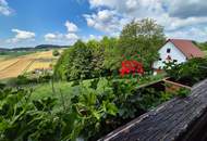 Herrliche Alleinlage: Großzügiges Einfamilienhaus (155m²) mit ehemaligem Wirtschaftsgebäude inmitten der Weinberge mit Blick auf Schloss Kapfenstein!