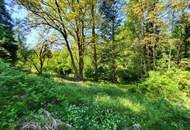 "NEUER PREIS!" AUFGESCHLOSSENER BAUGRUND IN RUHIGER WALDRANDLAGE