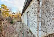 Wohnhaus mit Schwimmteich - 2 Wohneinheiten und Geschäft möglich