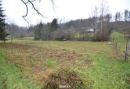 WIESE AM STAUSEE - € 750,- JAHRESPACHT