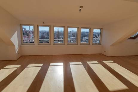 Traumhaftes Wohnen in einer Dachterrassenwohnung mit Blick in den Prater, Wohnung-miete, 2.400,00,€, 1020 Wien 2., Leopoldstadt