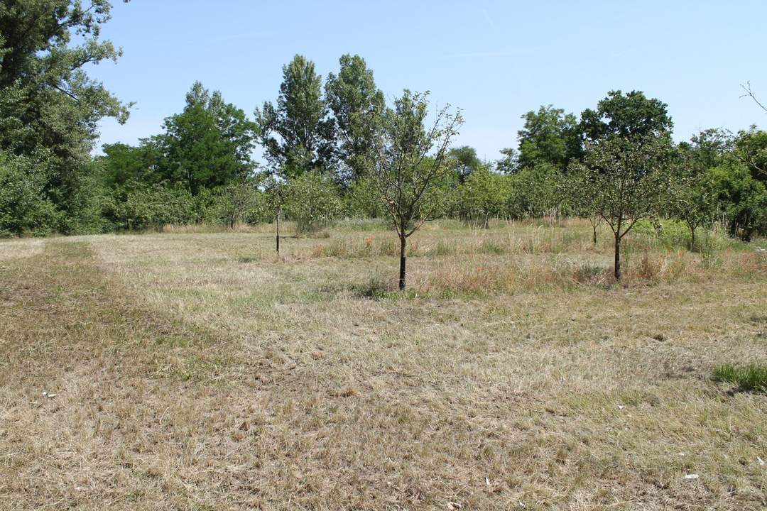 "Bauland Sondergebiet für Gastro oder Freizeit!"