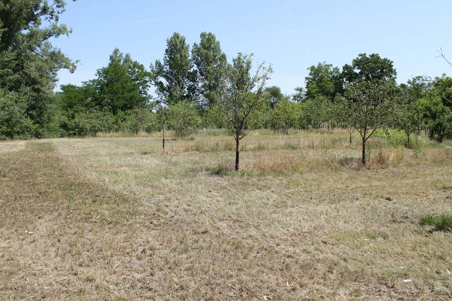 "Bauland Sondergebiet für Gastro oder Freizeit!", Grund und Boden-kauf, 199.000,€, 2011 Korneuburg
