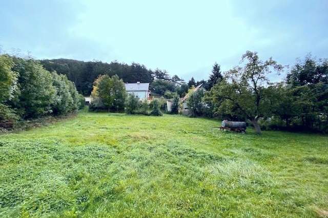 Baugrundstück mit angrenzendem Obstgarten, Grund und Boden-kauf, 139.000,€, 2733 Neunkirchen