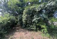 Grundstück mit Altbestand