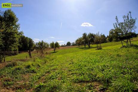 Idyllisches Landhaus im Vulkanland mit großem Nebengebäude – Nähe Bad Gleichenberg, Haus-kauf, 349.000,€, 8344 Südoststeiermark