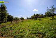 Idyllisches Landhaus im Vulkanland mit großem Nebengebäude – Nähe Bad Gleichenberg