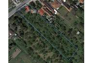 ,,Bauland und großer Obstgarten - Liegenschaft in Hornstein nahe Neufeldersee,,