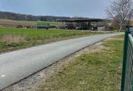 EFH mit großen Nebengebäude und Garten!