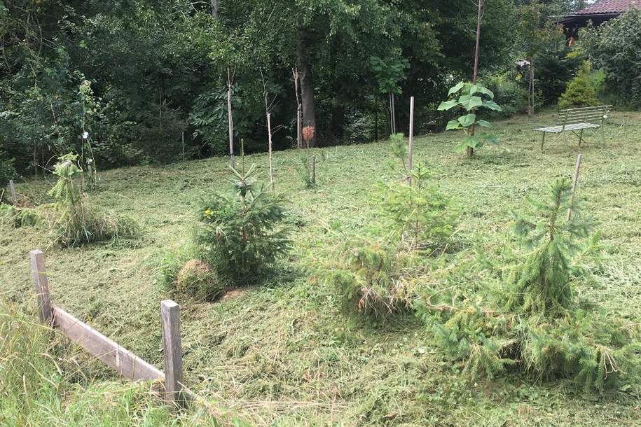 Leben im Grünen am ruhigen Waldrand!, Grund und Boden-kauf, 8264 Hartberg-Fürstenfeld