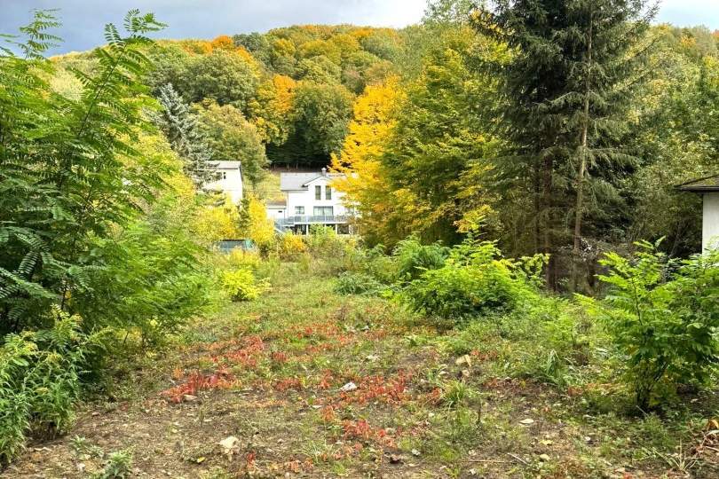 "Rarität - Baugrund in Mauerbach an der Grenze zu Wien", Grund und Boden-kauf, 399.000,€, 3001 Sankt Pölten(Land)