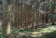 Waldfläche in Eberschwang/Hausruckwald - ca. 25.126 m²