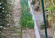 Wohnhaus mit Schwimmteich - 2 Wohneinheiten und Geschäft möglich