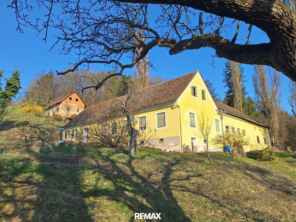 ALLEINLAGE: Sanierungsbedürftiger Vierkanthof mit ca. 17ha Land zu verkaufen