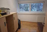 Freie Flächen in der Lederfabrik Linz ab 38 m2 bis 254 m2 Toplage ,viele Parkplätze LOFT, Praxis, Gewölberaum