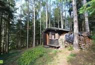 CHRISTOPH CHROMECEK IMMOBILIEN - SULZ IM WIENERWALD - Traumhafter Baugrund mit Blockhaus in Grün-Ruhelage!