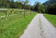 Hübsche, landwirtschaftliche Wiese mit kleinem Wald - KEIN Baugrund !!!