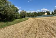 Landwirtschaftlicher Nutzgrund Leonding