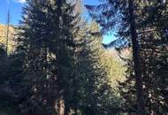 Waldgrundstück in Hüttschlag – ca. 40.000 m² Natur & Wert