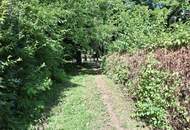 Grundstück für Freigeister in idyllischer Waldlage