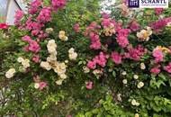 Stark reduziert! Charmante 3-Zimmer-Wohnung mit zwei Balkonen und Eigengarten in ruhiger Grünlage des 18. Bezirks