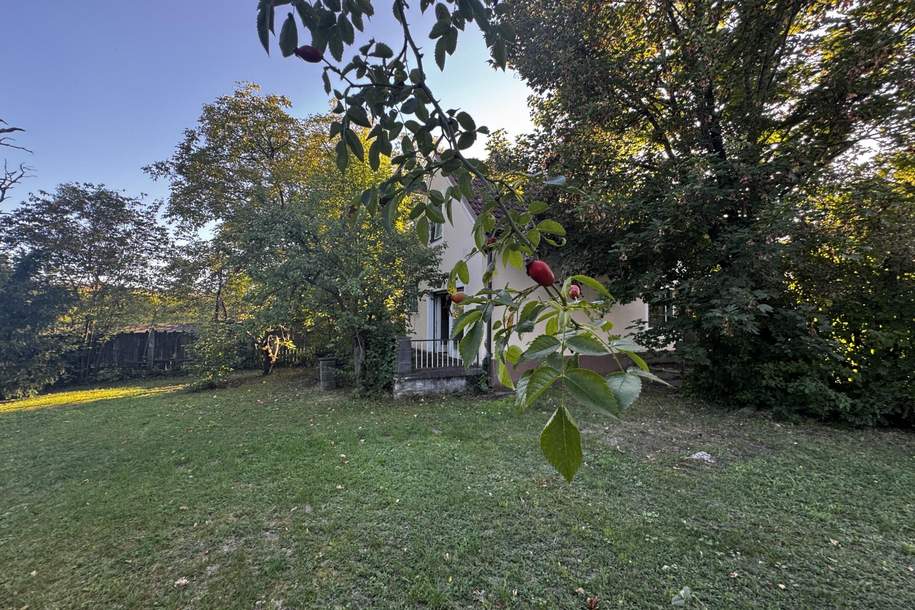 Klein, fein, mein! Haus mit Traumgarten zum Selbergestalten! RUHELAGE!, Haus-kauf, 249.000,€, 2630 Neunkirchen