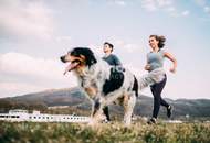 DANUBEFLATS: Top möblierte 2 Zimmer mit hochwertiger Ausstattung und Annehmlichkeiten (Pool, Gym, Bar)