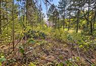 Wohnen wo die Natur beginnt - Waldrandgrundstück mit Option auf Waldpacht