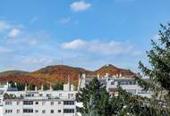 Perfekt für Aktive: Zwei Terrassen, Kahlenbergblick & Donauinsel-Nähe