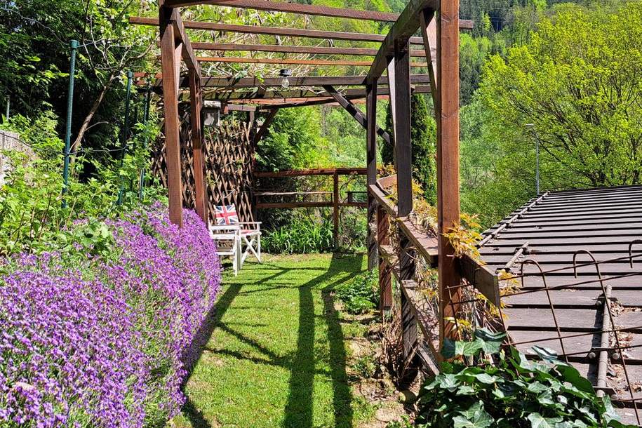 Koffer Packen und einziehen! Klein &amp; Fein!, Haus-kauf, 249.000,€, 3153 Lilienfeld