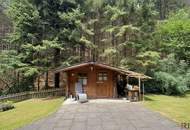Haus in absoluter Ruhelage für Naturliebhaber I ca. 160m² Nutzfläche und rund 1000m² Garten I Bucklige Welt