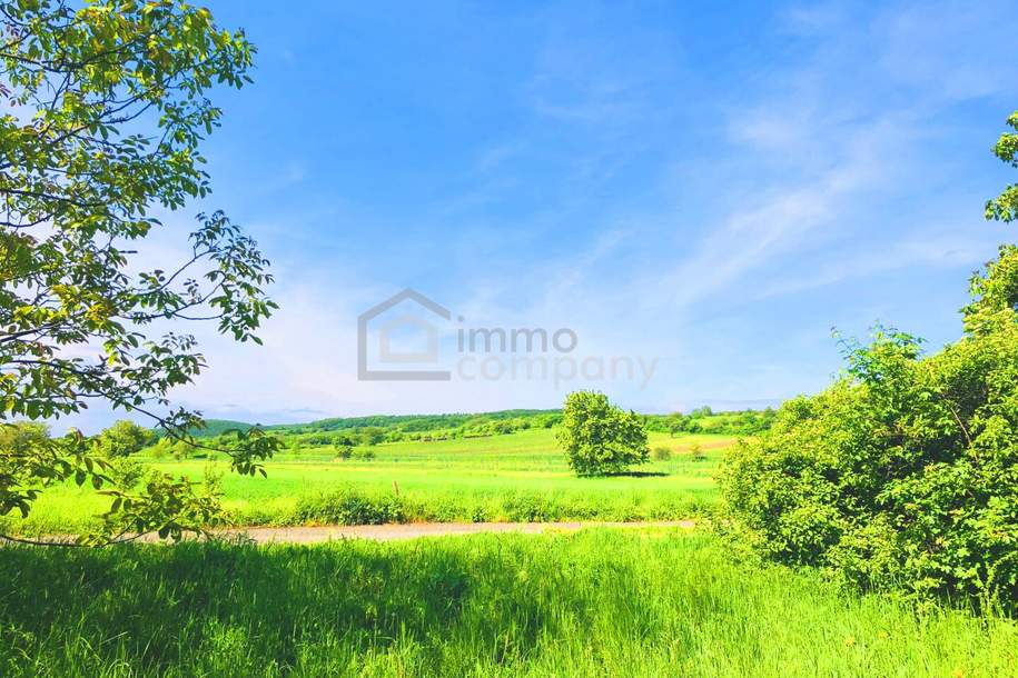 Baugrund gesamt im Paradies, Grund und Boden-kauf, 695.000,€, 7091 Eisenstadt-Umgebung