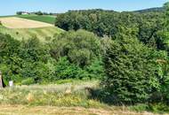 Ihr Bauplatz am Waldrand – Wohnen zwischen Wiesen, Wald und Weitblick