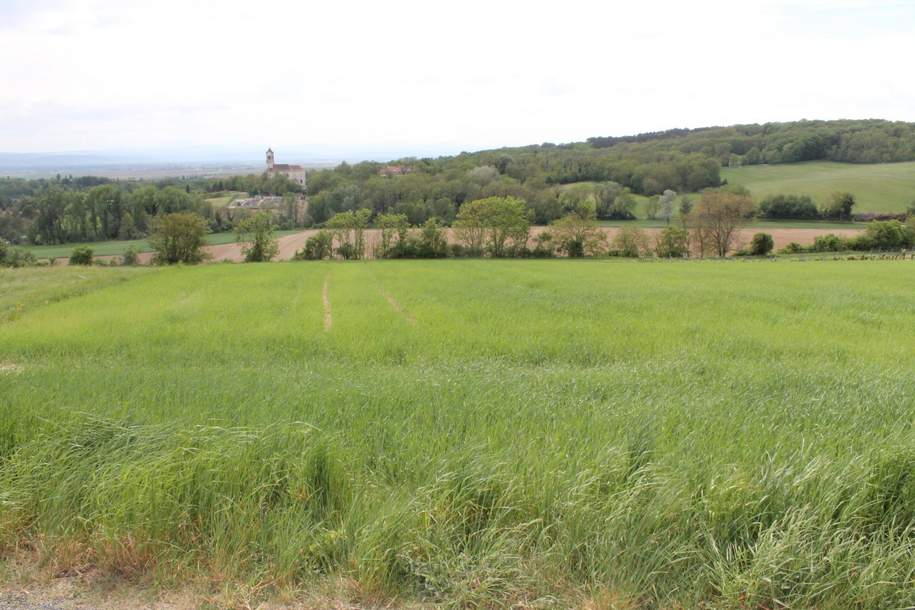Ackerbau oder Weinanbau!, Gewerbeobjekt-kauf, 3702 Korneuburg